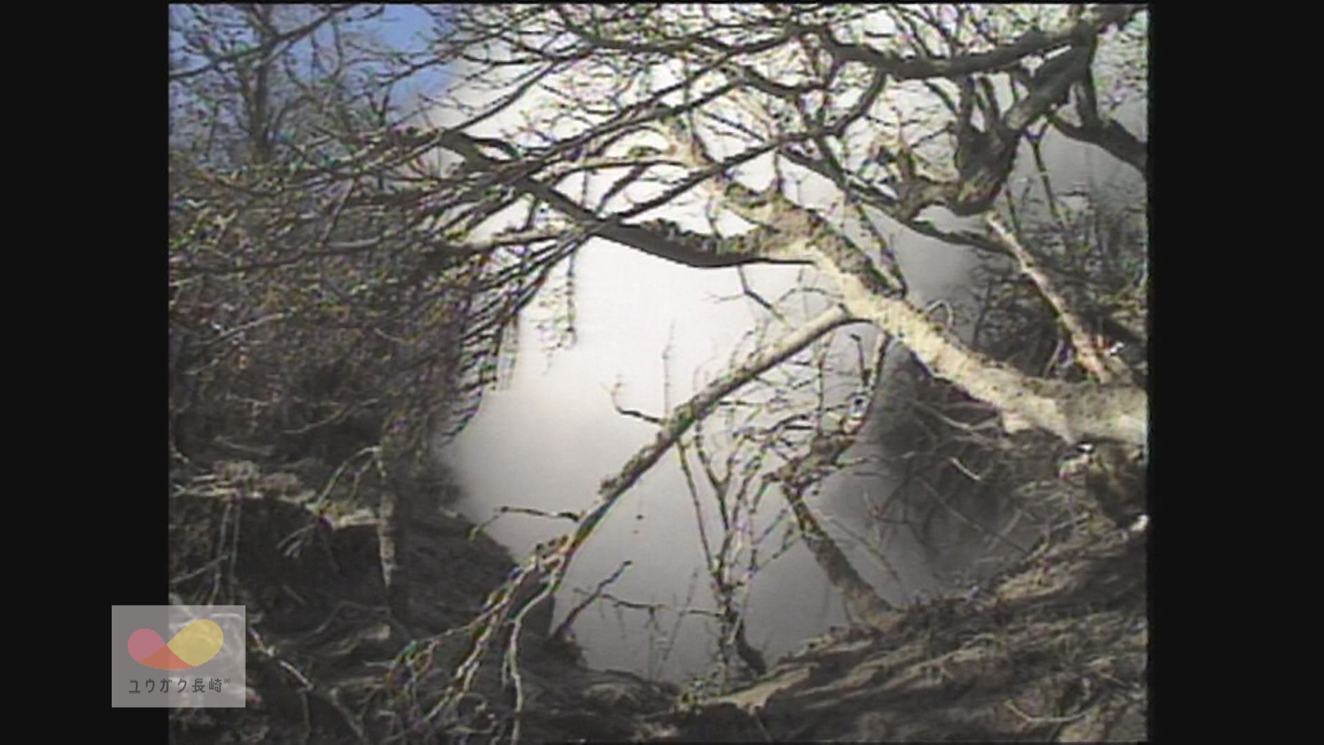 雲仙普賢岳噴火～ＮＢＣカメラ、九十九島・地獄跡両火口へイメージ